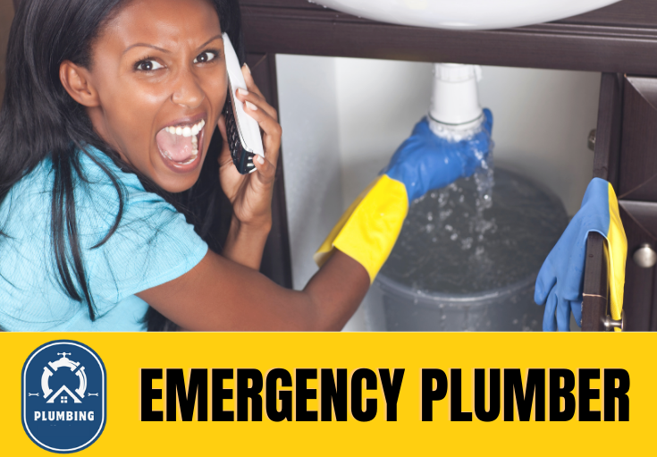 emergency plumber Bexley